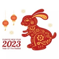 Year of the Rabbit